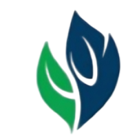 Pharmora Logo